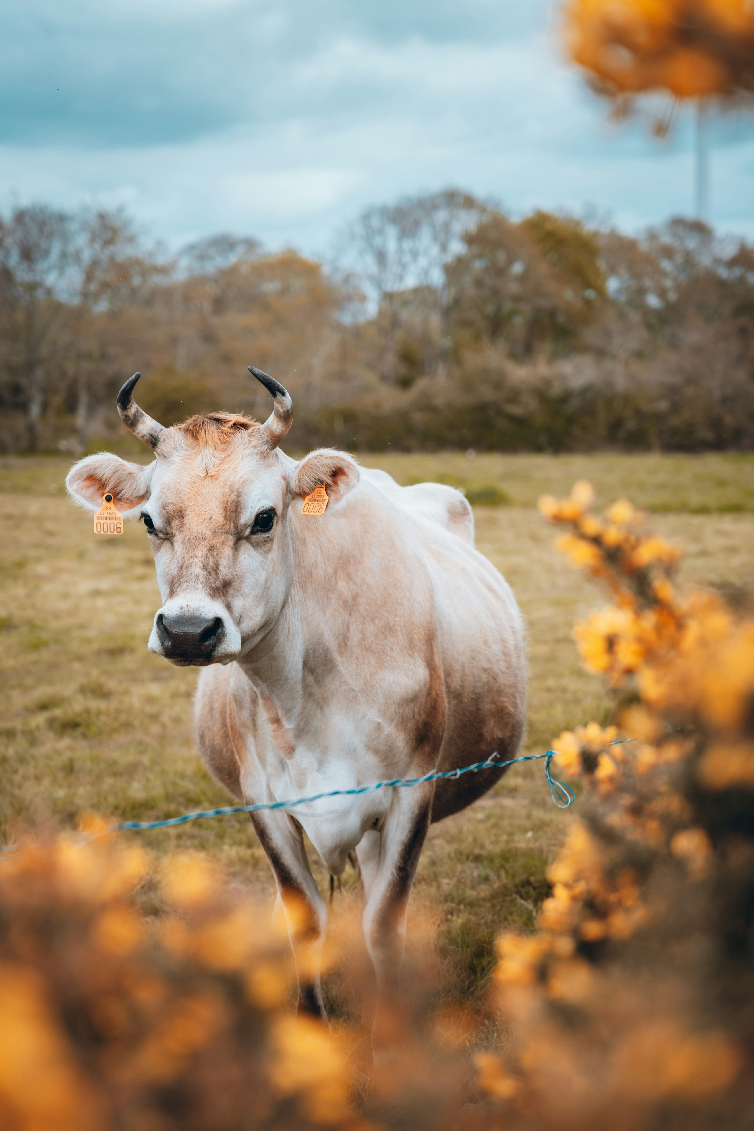 Photo by mathieuodin