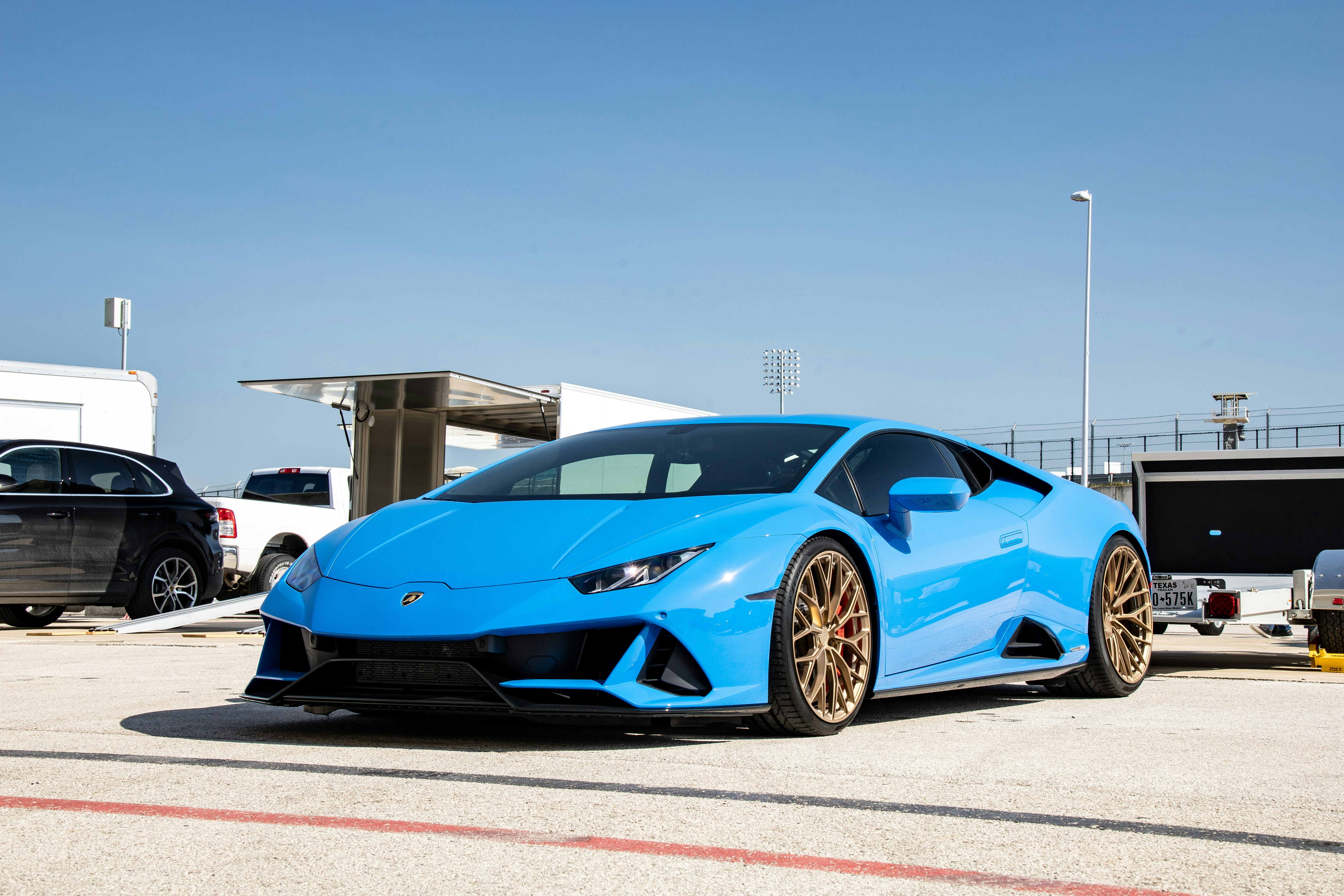 Photo by lonestarexotic