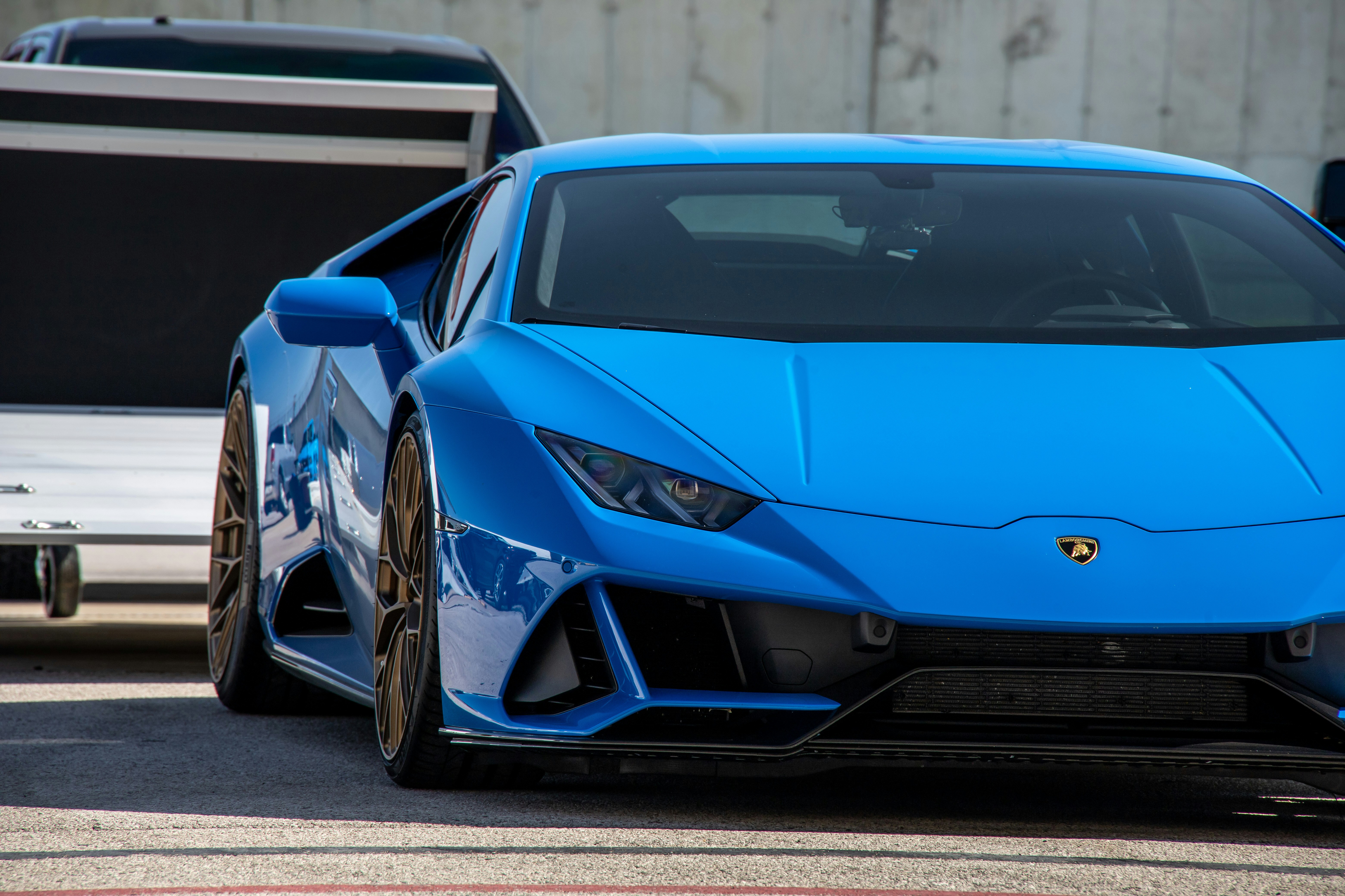 Photo by lonestarexotic