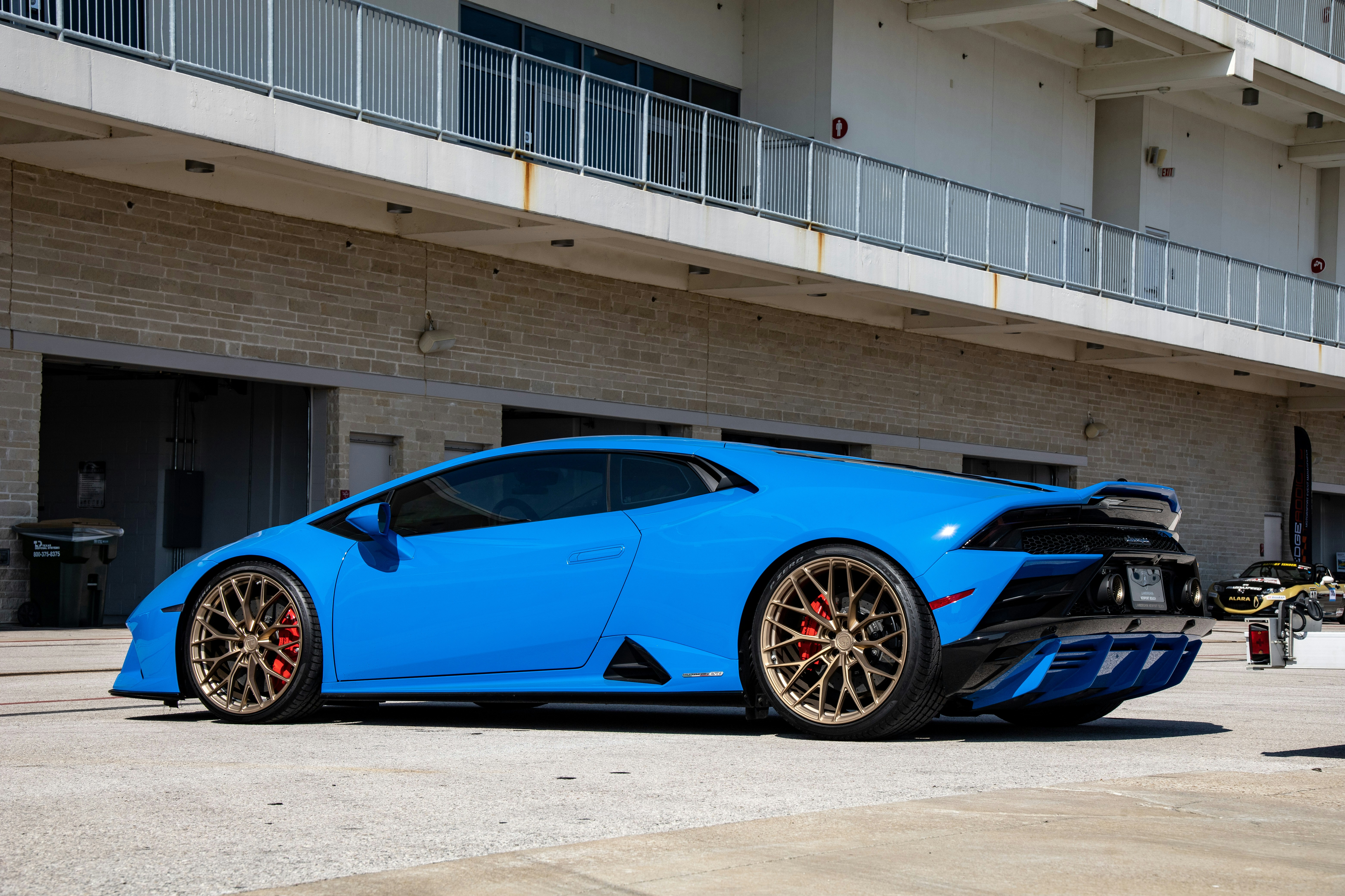 Photo by lonestarexotic