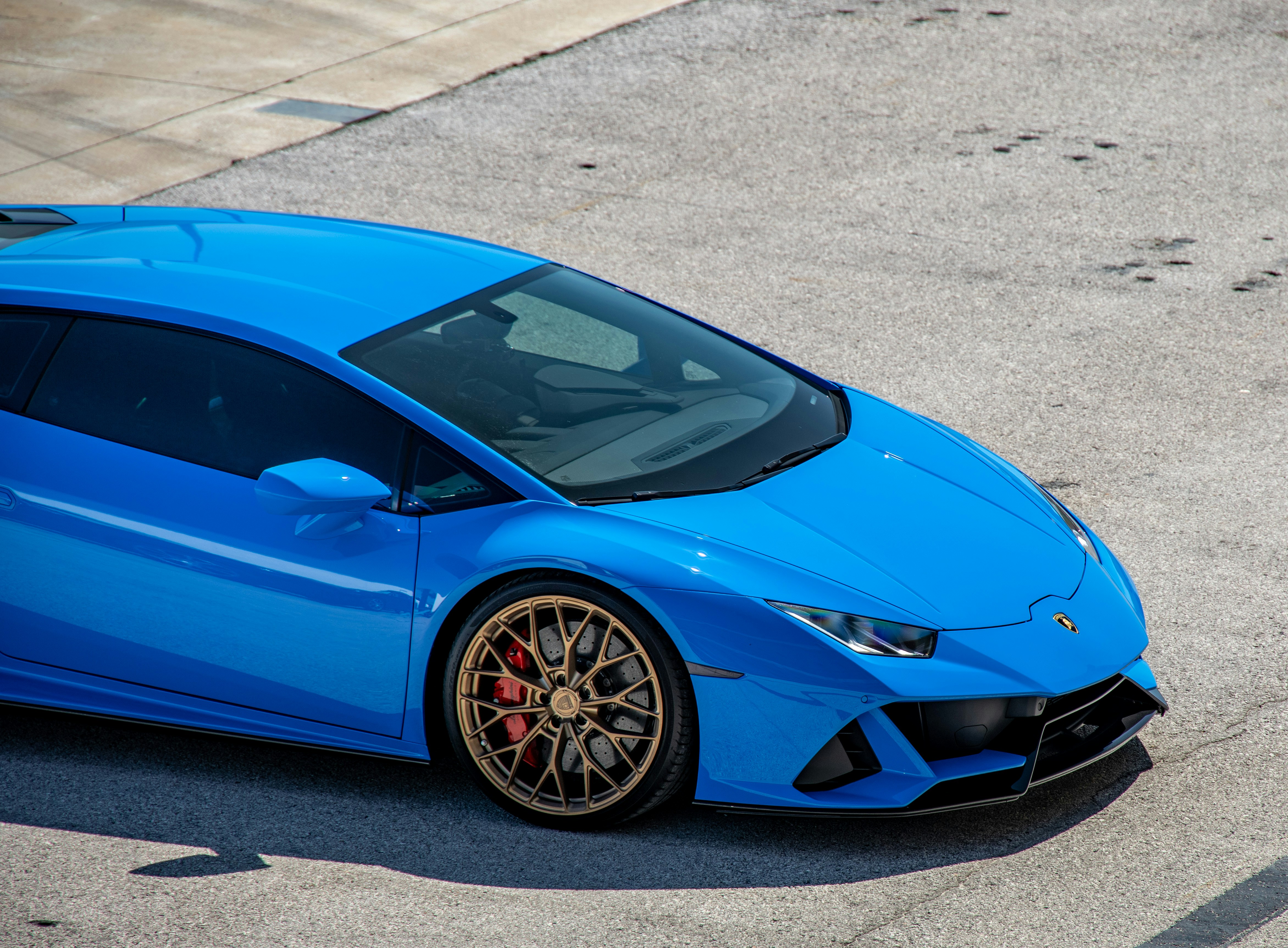 Photo by lonestarexotic