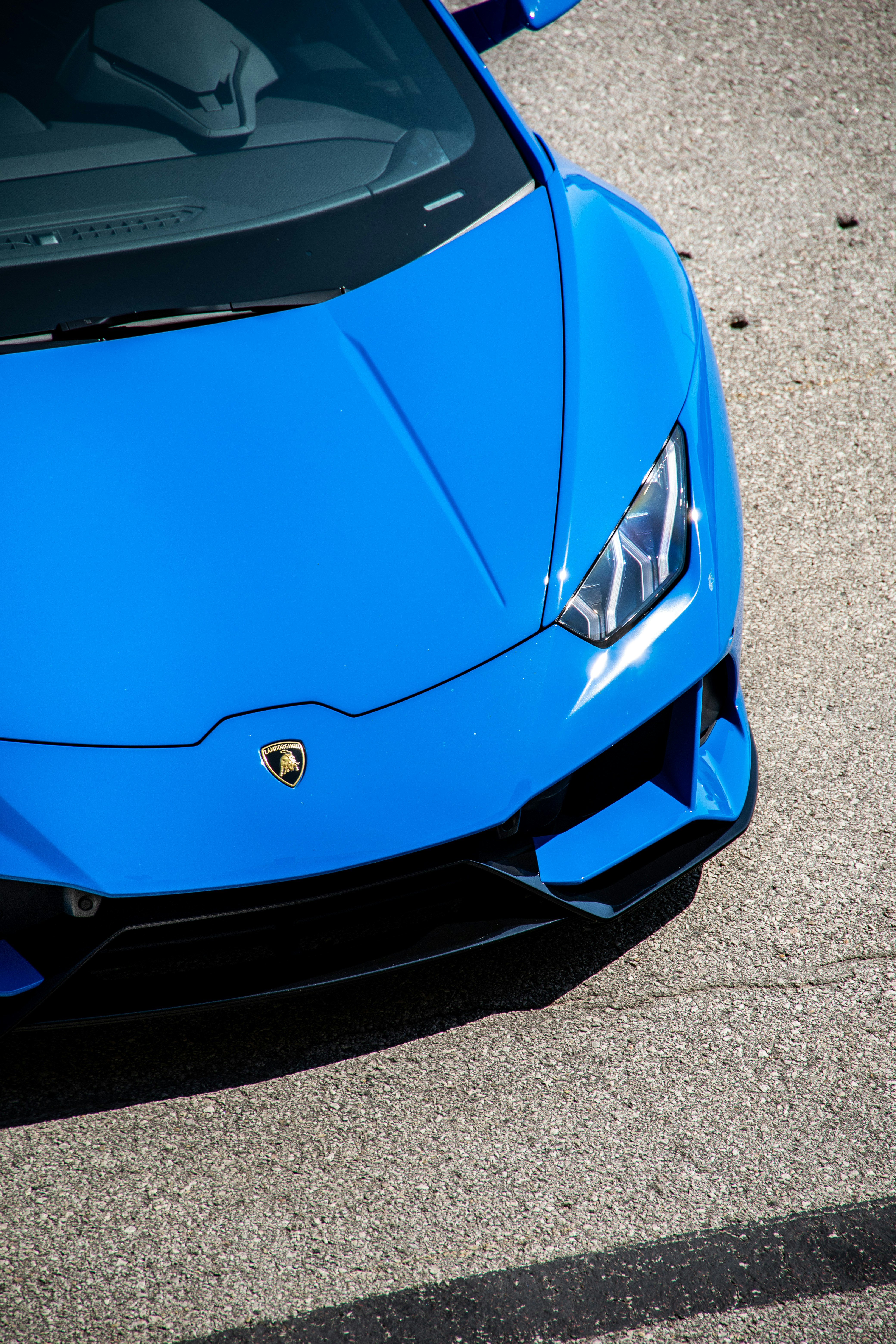 Photo by lonestarexotic