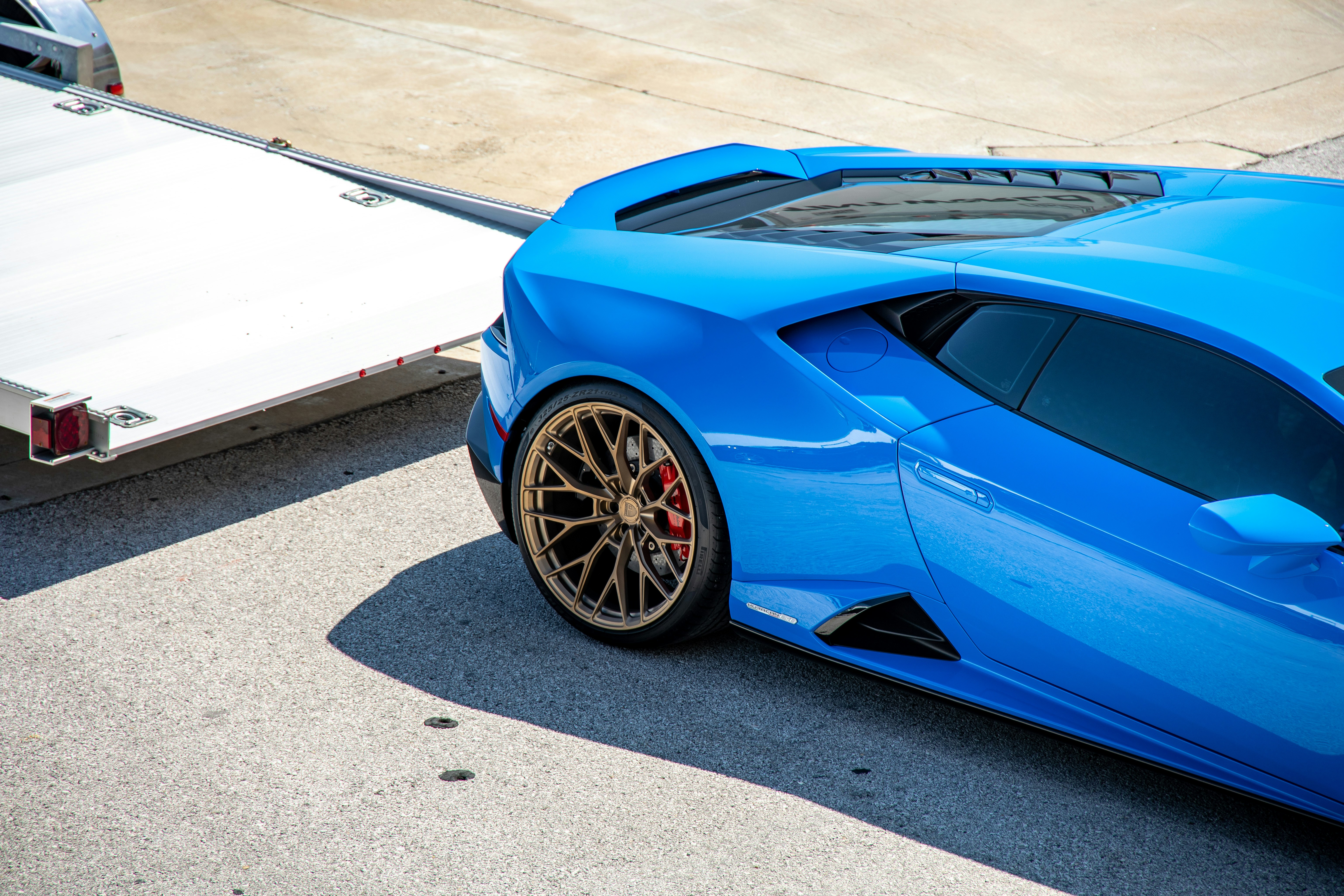 Photo by lonestarexotic