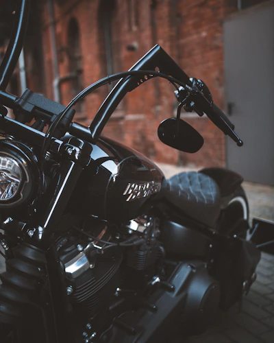 Sidewinder luggage panniers