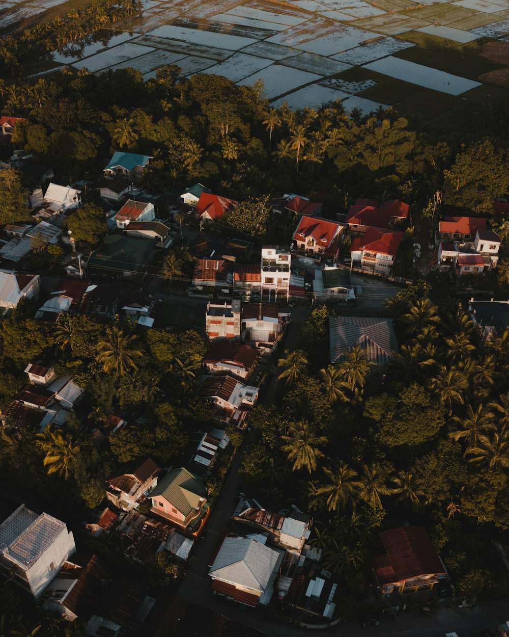 aerial view of houses and trees during daytime