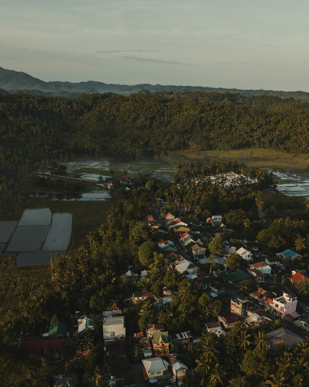 aerial view of green trees and houses during daytime