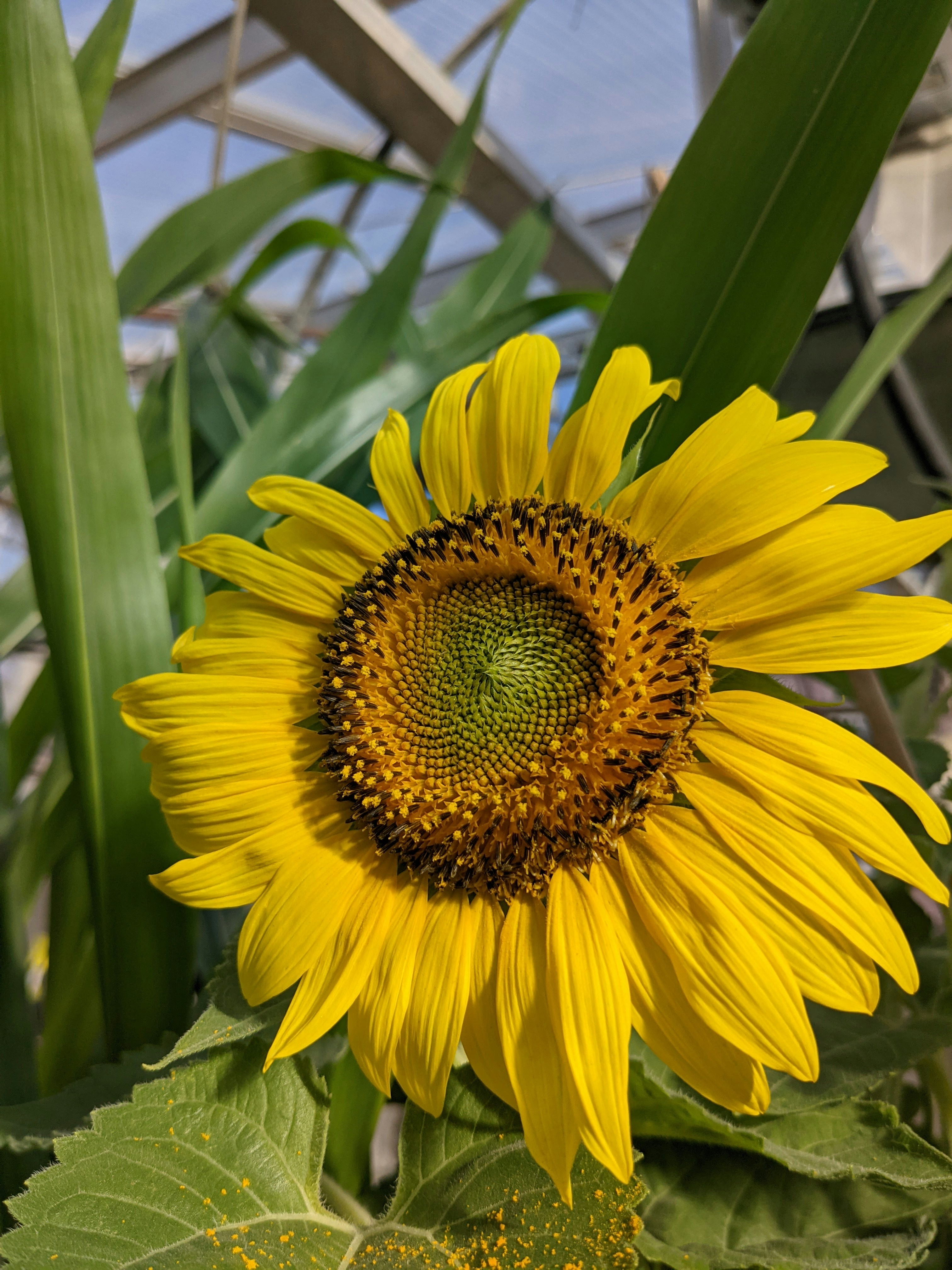 Produits Écologiques