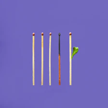 5 matchsticks. one burned and one with green leaf