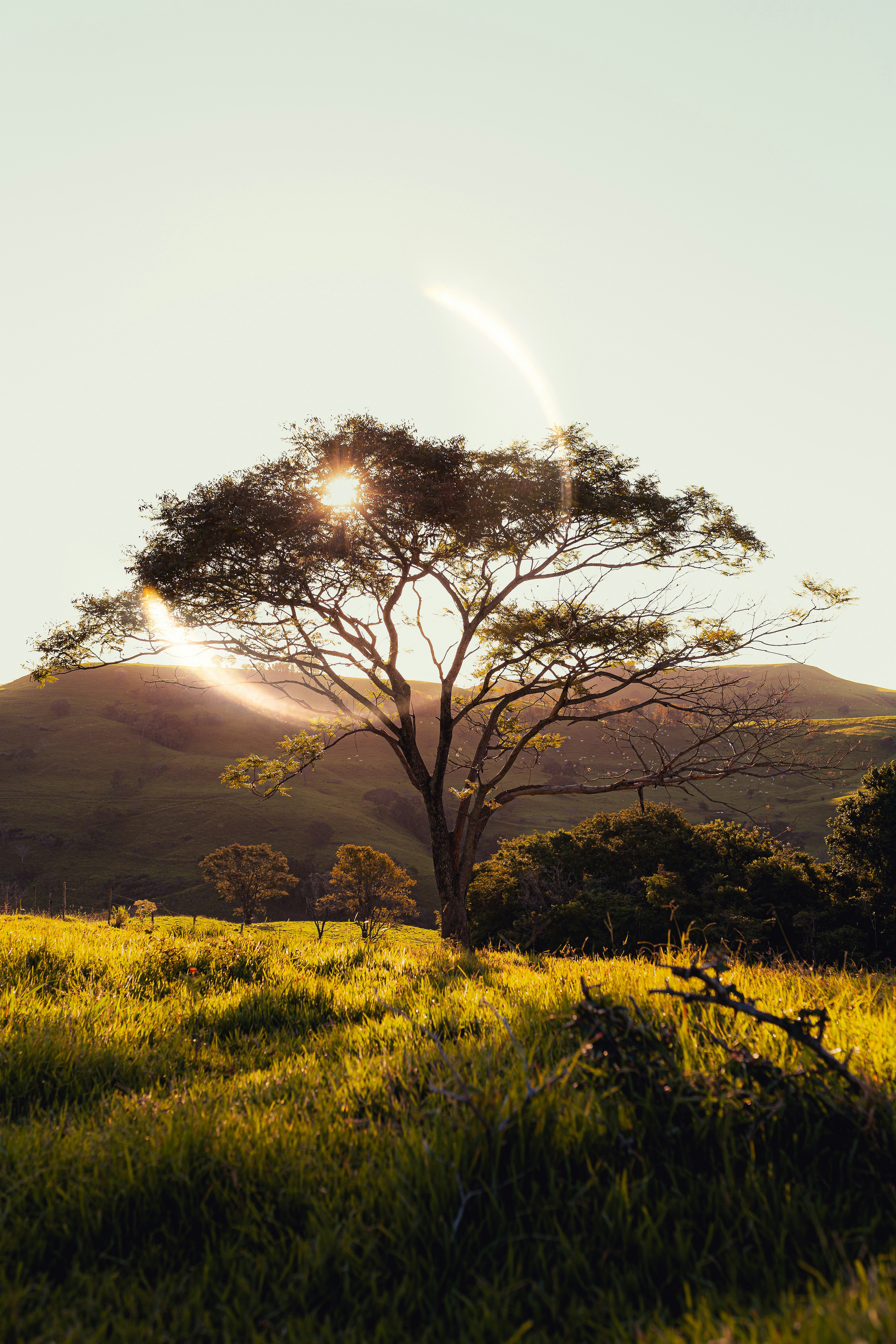 Industry Analysts Trimming Earnings