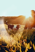 man and woman sitting on grass field during sunset