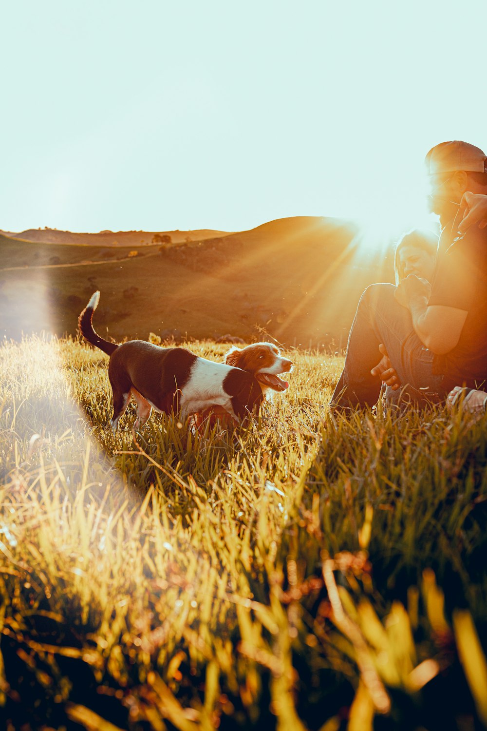 man and woman sitting on grass field during sunset