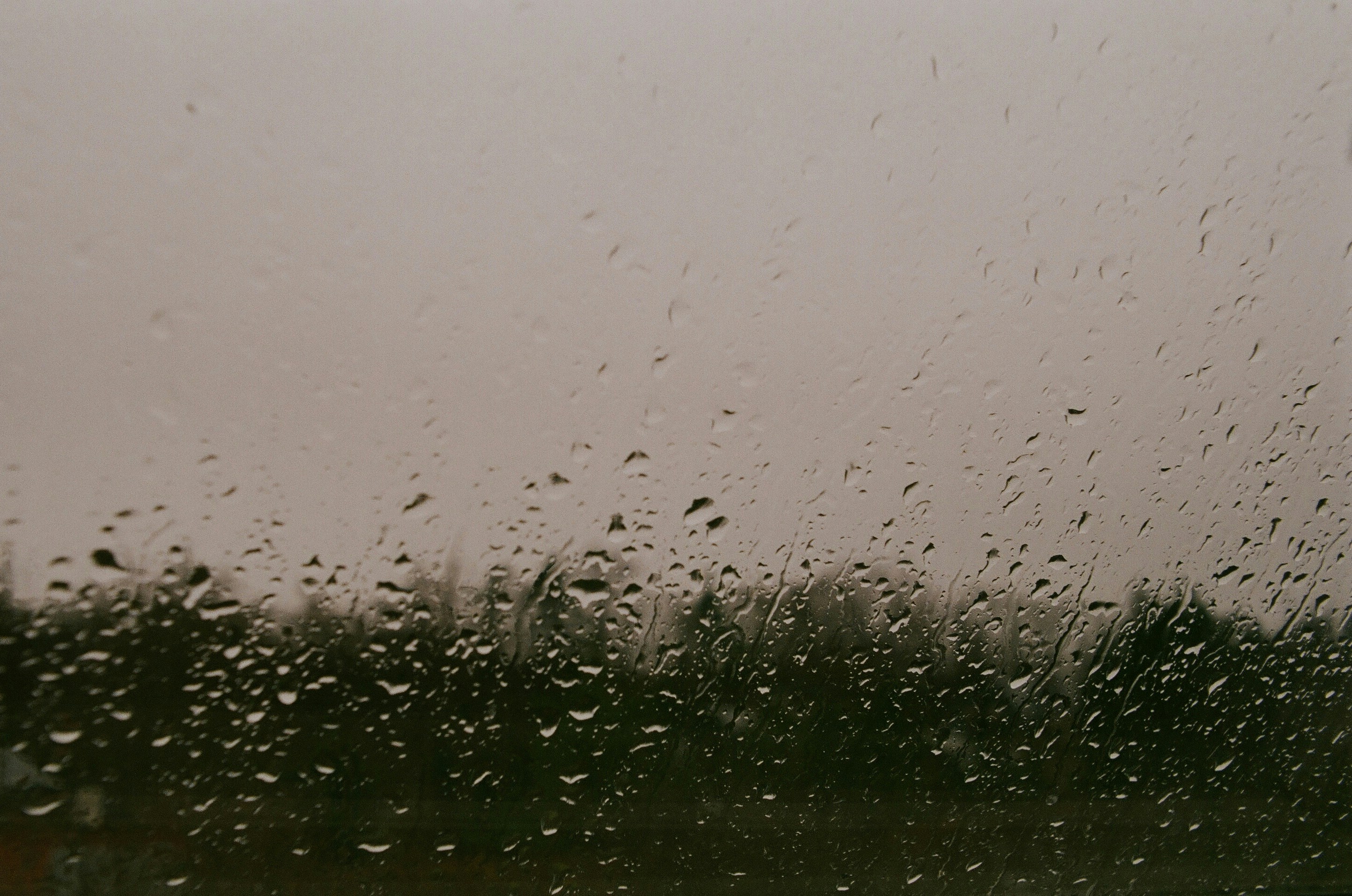 Photo by annasurovkova