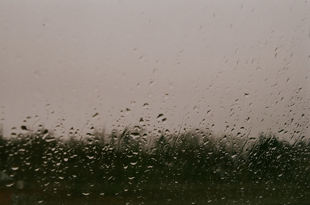 water droplets on glass window