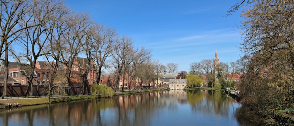 body of water near trees and houses under blue sky during daytime