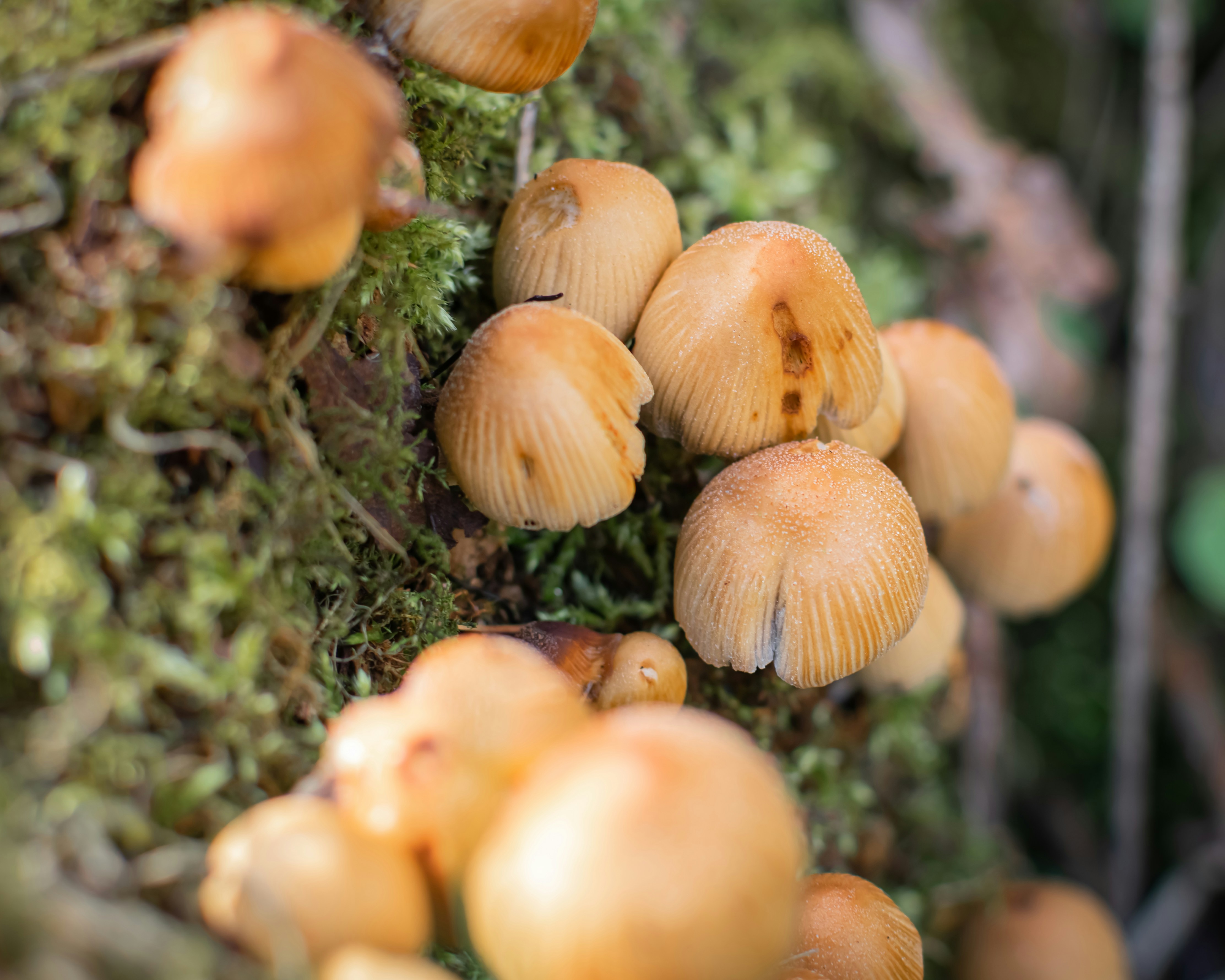 Photo by ower_yonder