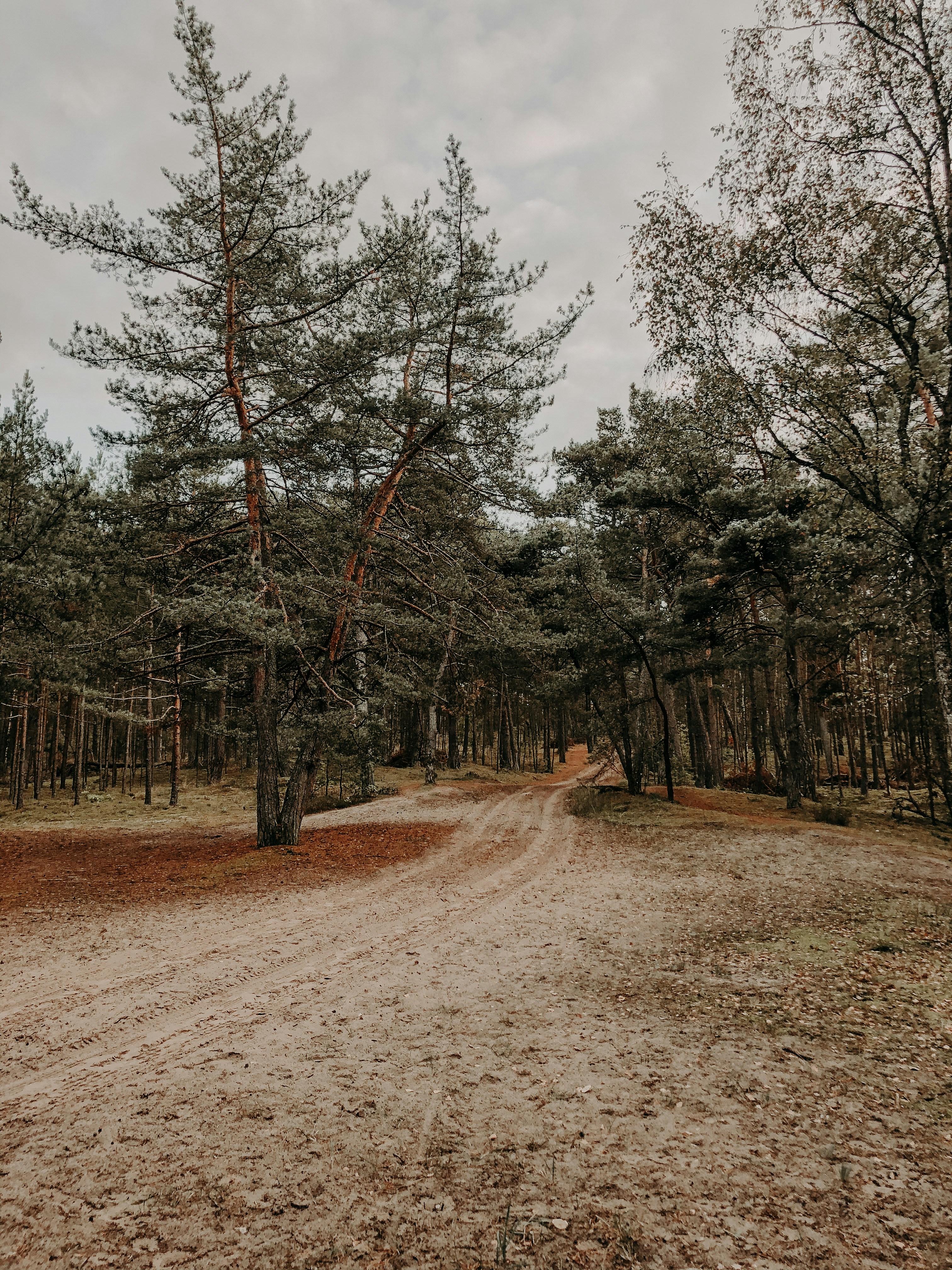 Photo by auburn_wanderer