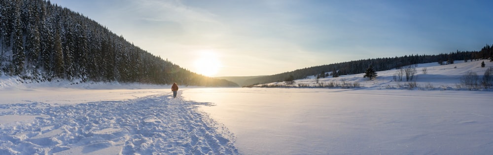 person in black jacket walking on snow covered ground during daytime