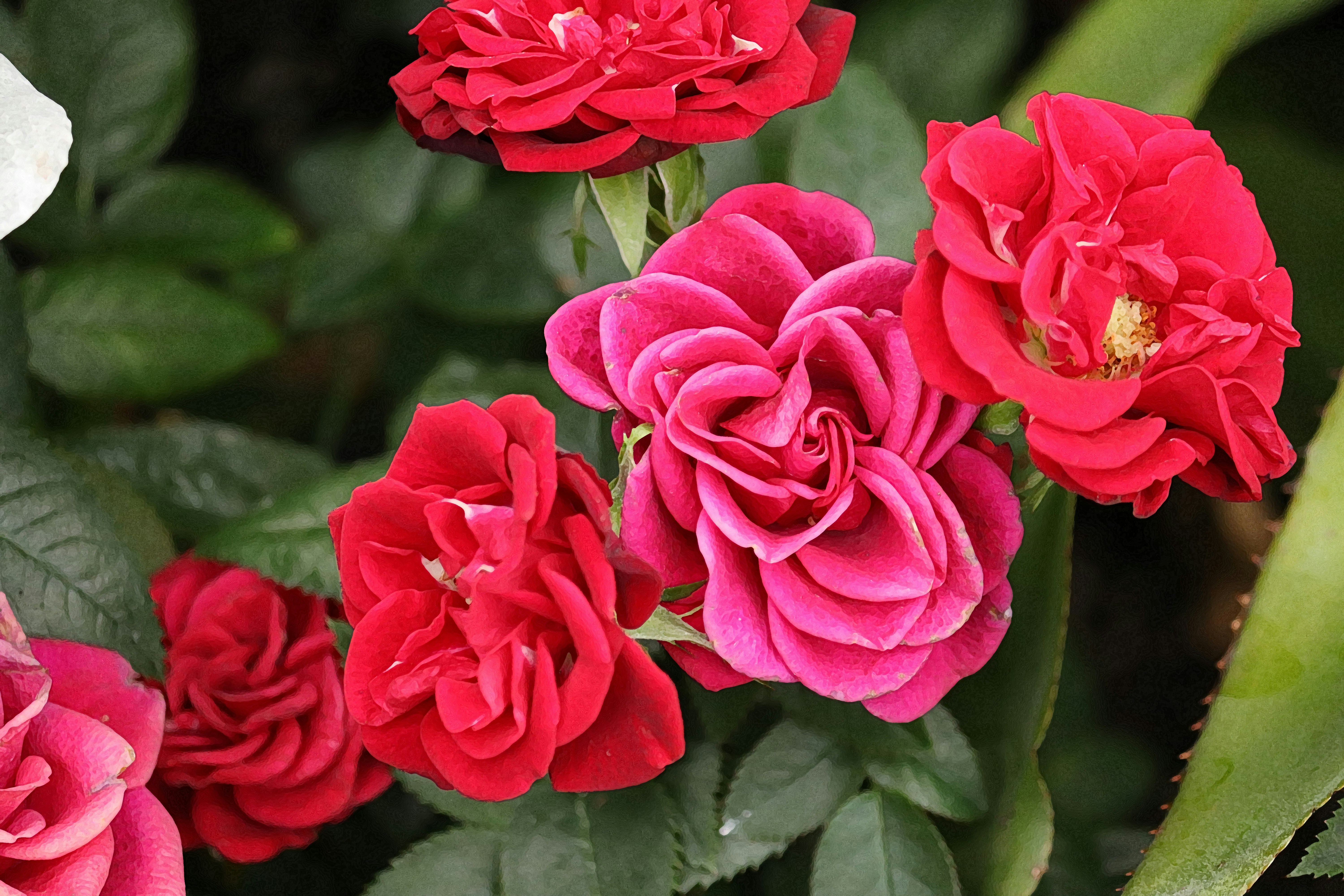 Photo by marianbrandt2000