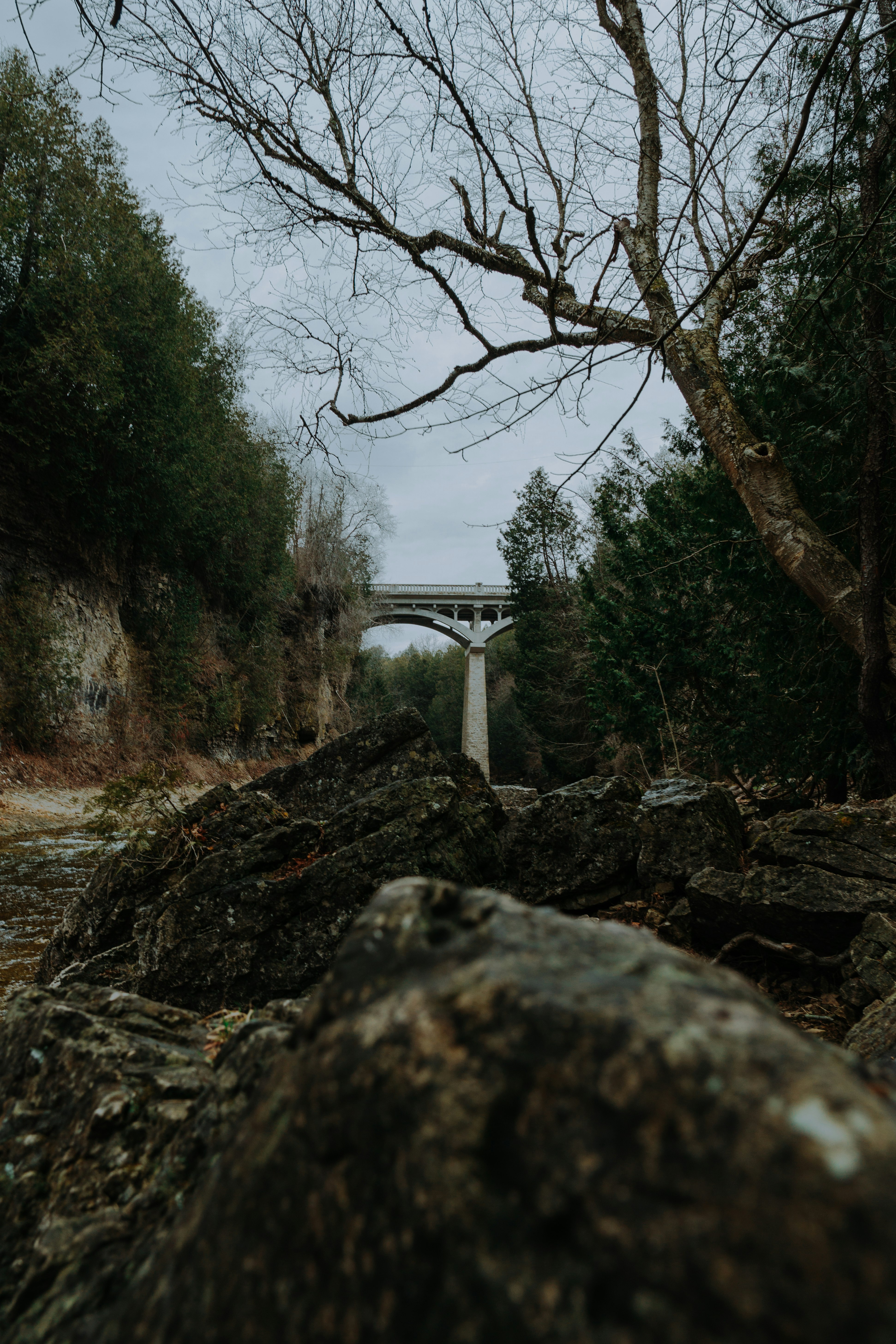 gray concrete bridge over river