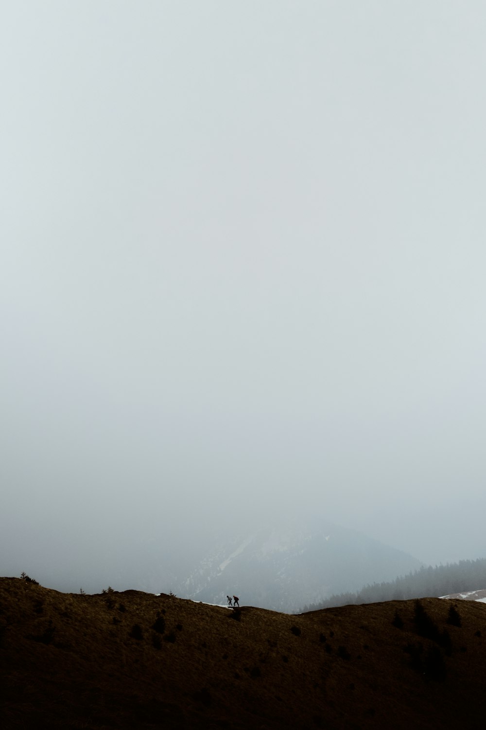 green trees on mountain under white sky during daytime