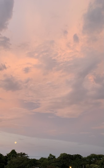 A serene prairie landscape under a moonlit sky with soft clouds.