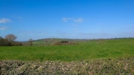 A peaceful countryside field under a clear blue sky.