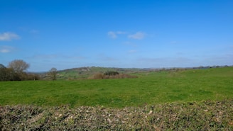 A peaceful countryside field under a clear blue sky.