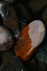 A silver feather resting on smooth black stones.