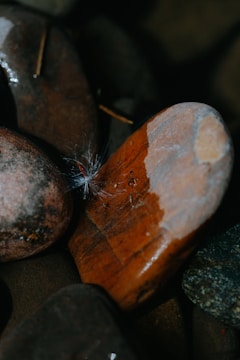 A silver feather resting on smooth black stones.