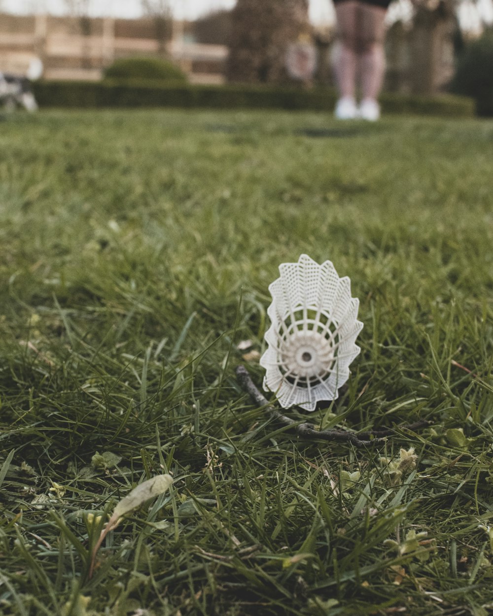 a white object sitting on top of a lush green field