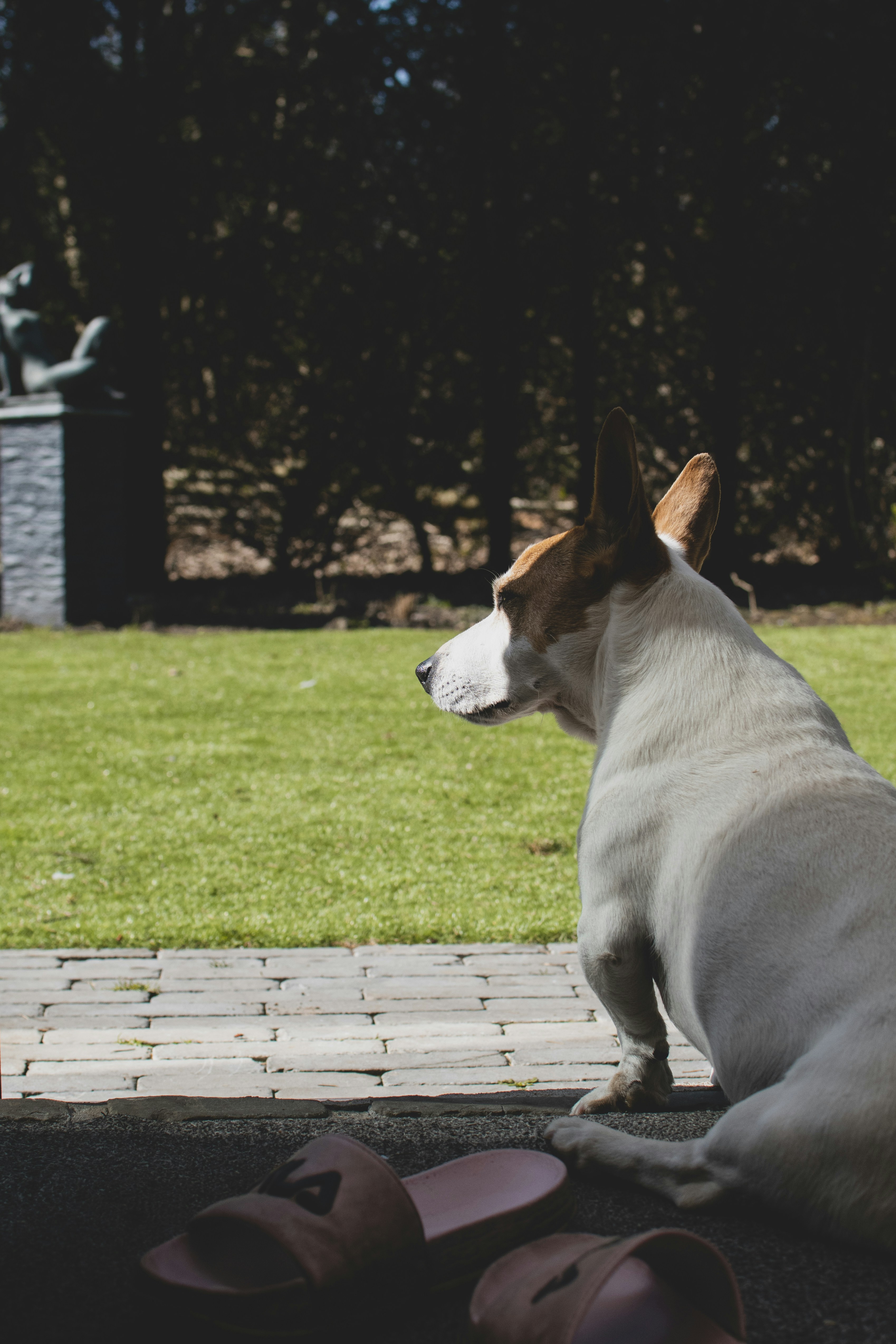 Photo by ricovandevoorde