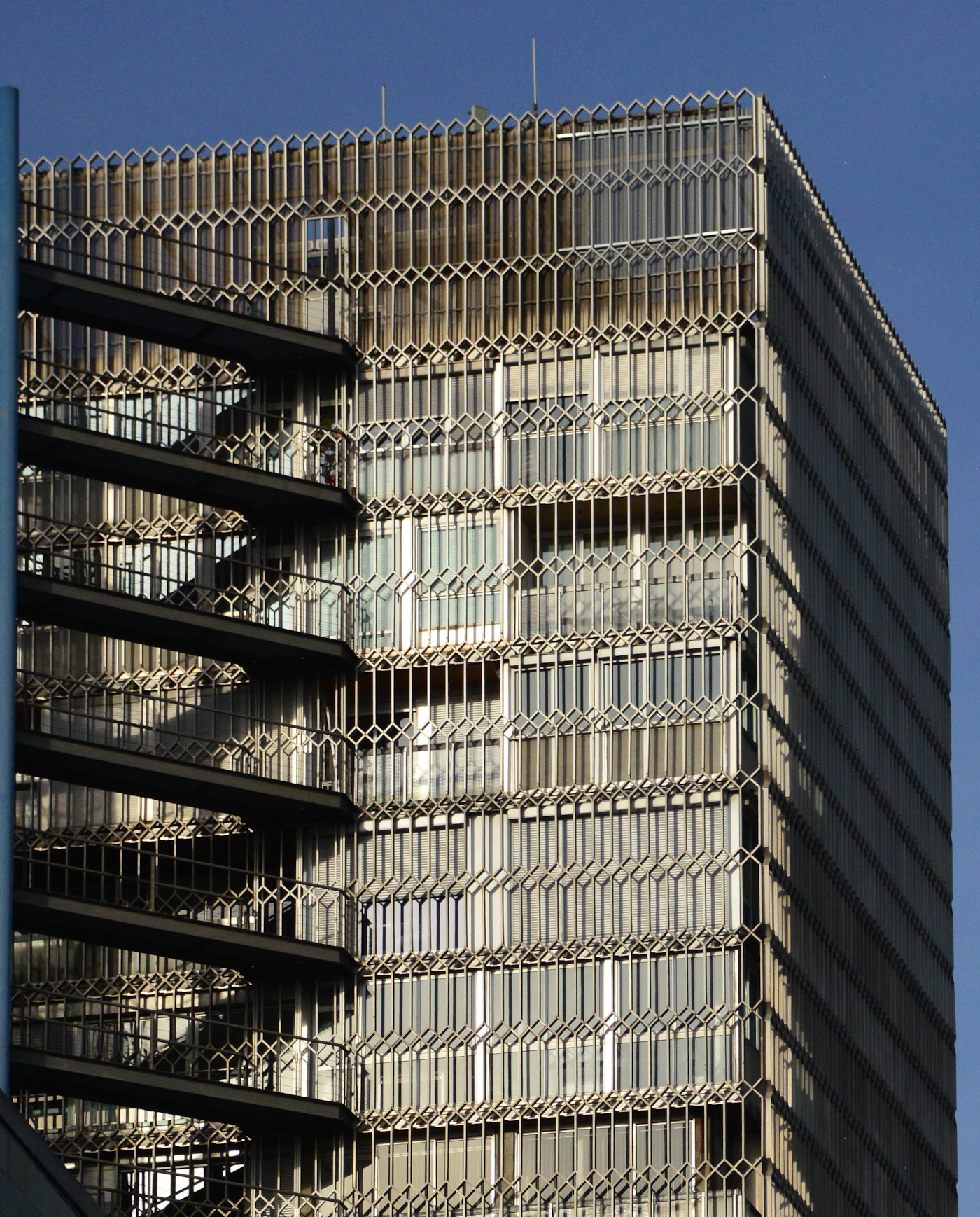 Steel Frame frente a hormigón: comparación real