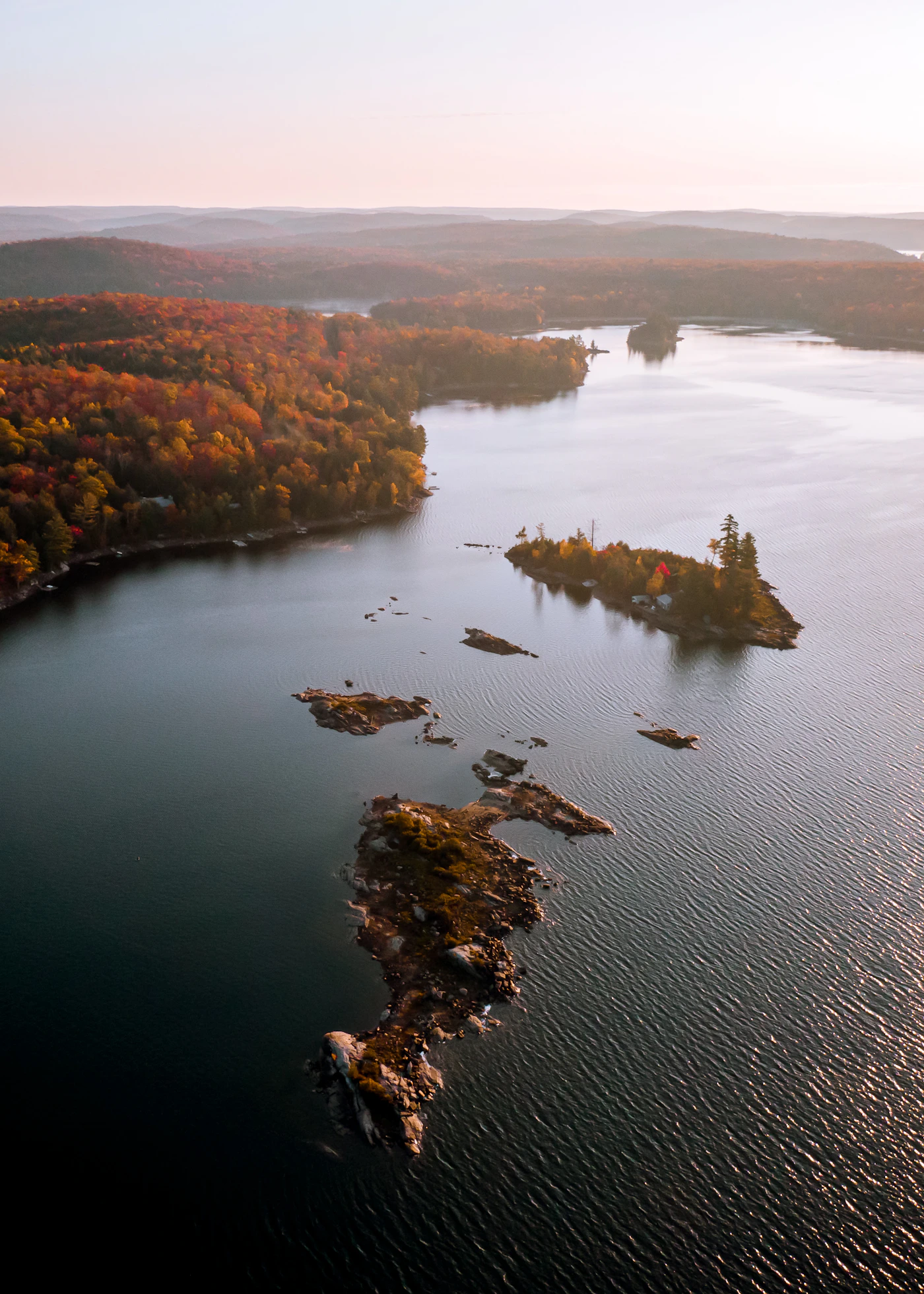 Aerial view of Ontario forest in peak autumn colour, an unbroken canopy of orange, red, and yellow treetops stretching in every direction