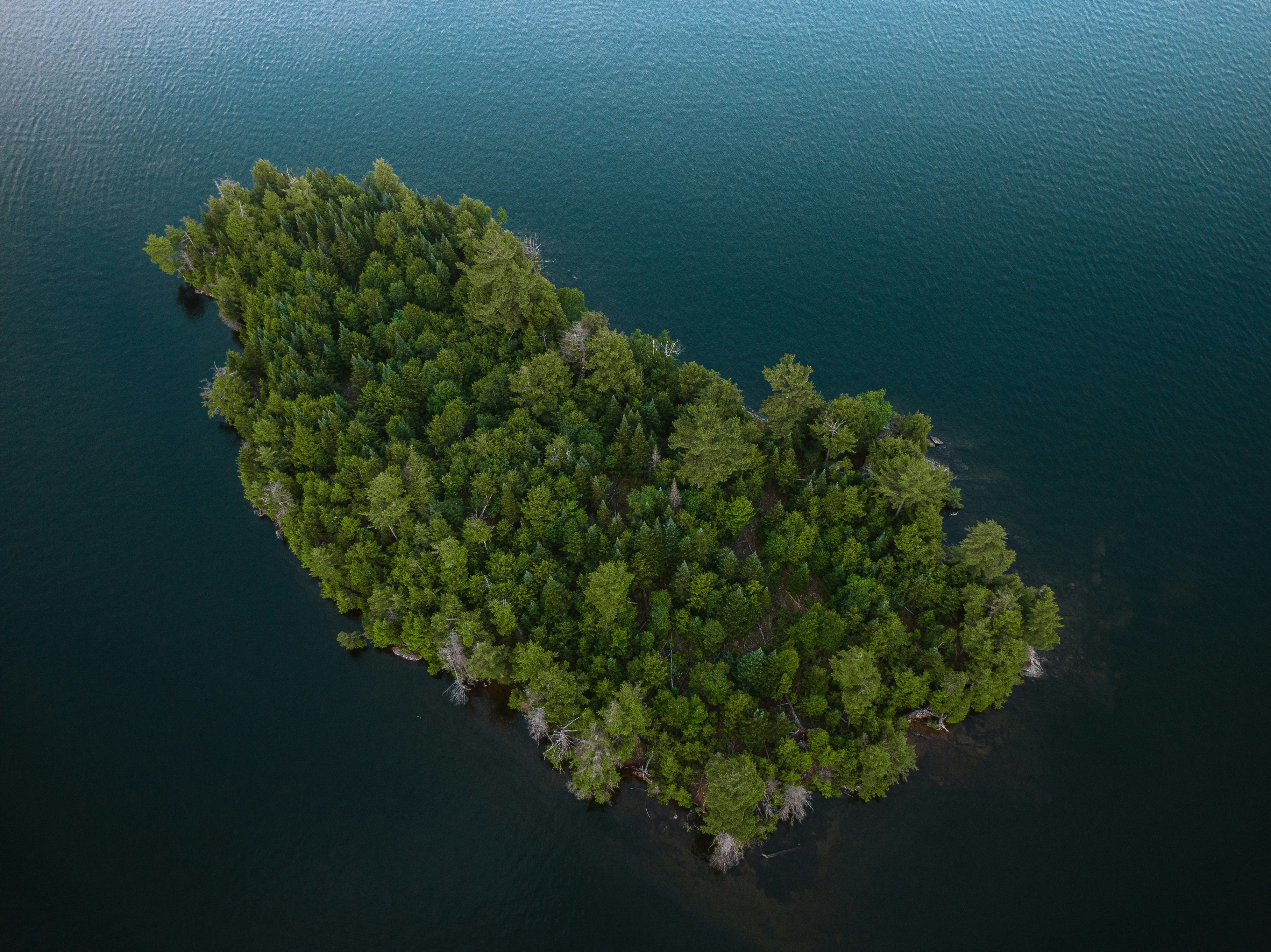 Weekly Update - 11/28/2025