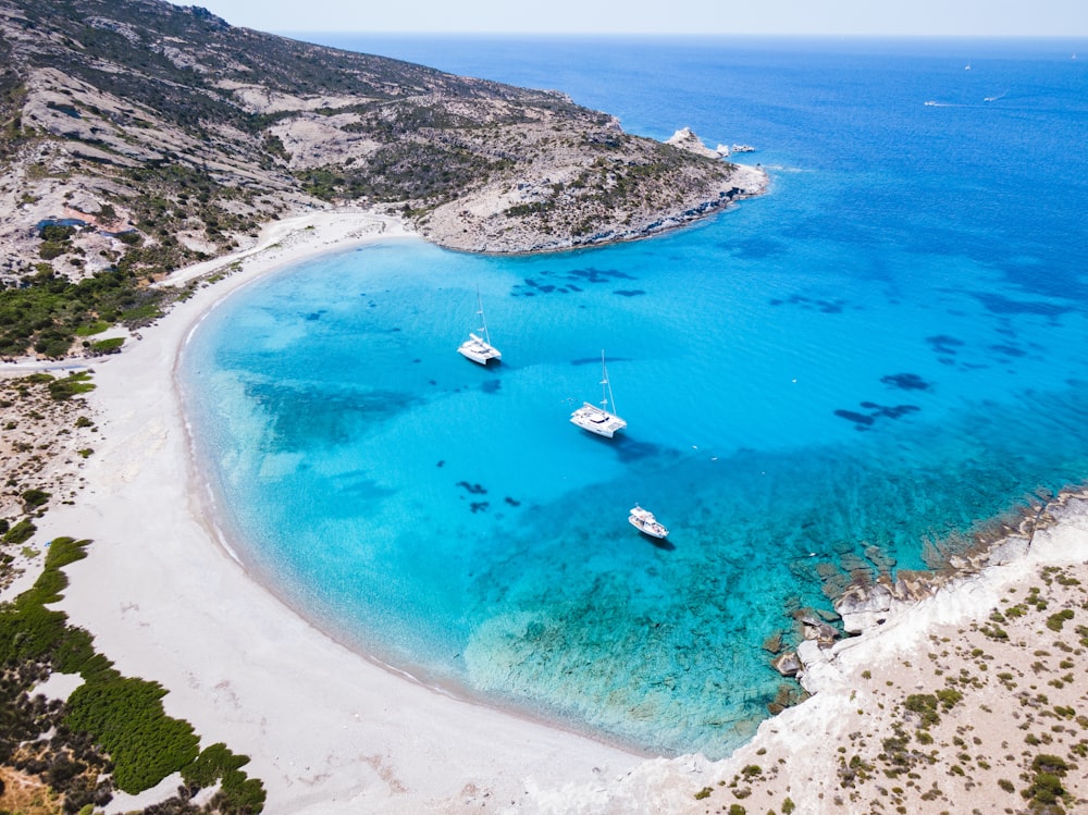 aerial view of people on beach during daytime