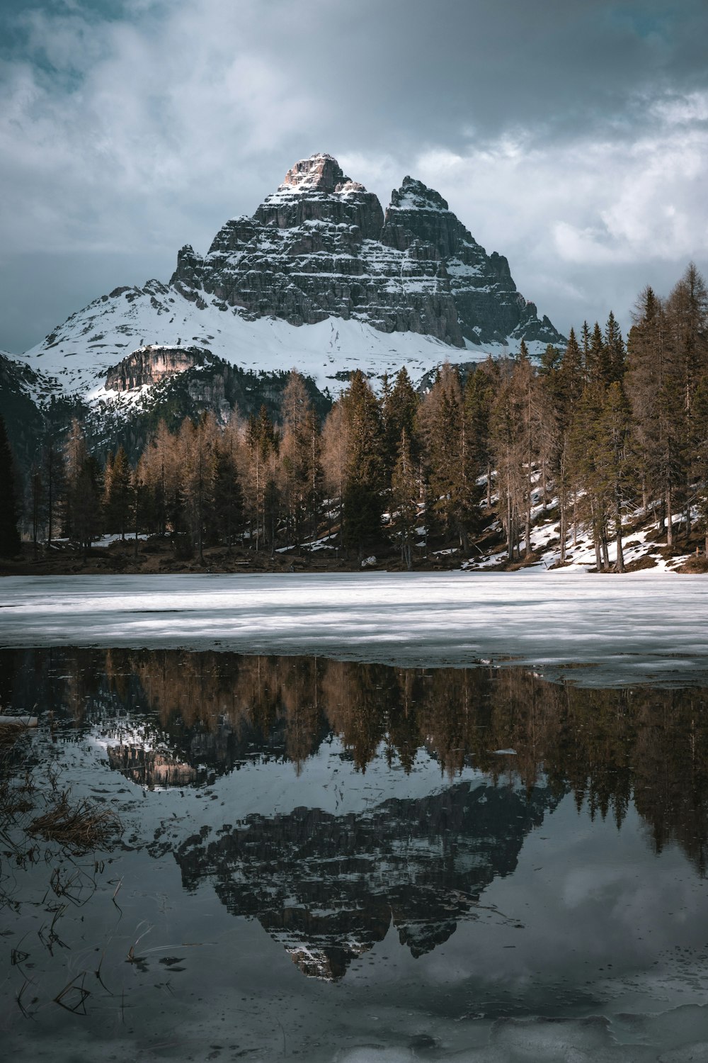 green trees near snow covered mountain during daytime