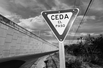 A triangular road sign with the text 'CEDA EL PASO' stands prominently in the foreground. The sign is positioned on a metal pole beside a paved road. To the left, a large concrete wall extends alongside the road, and to the right, there are overgrown bushes and grass. Overhead, a partly cloudy sky fills the background.