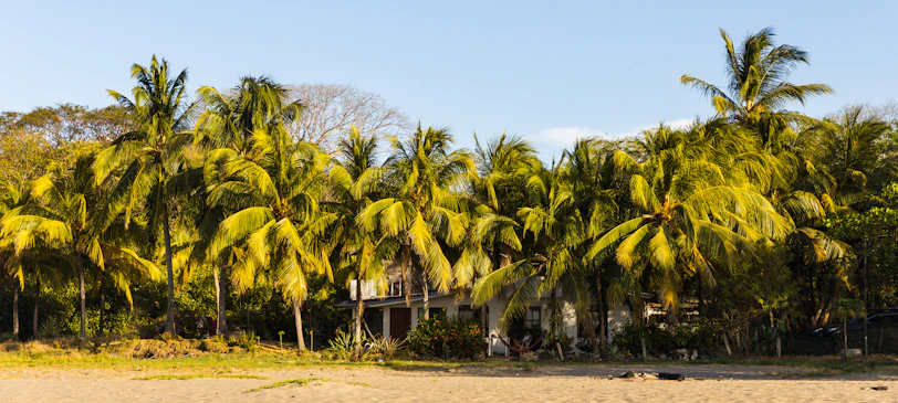 A sunlit desert home with palm trees swaying gently in the breeze.
