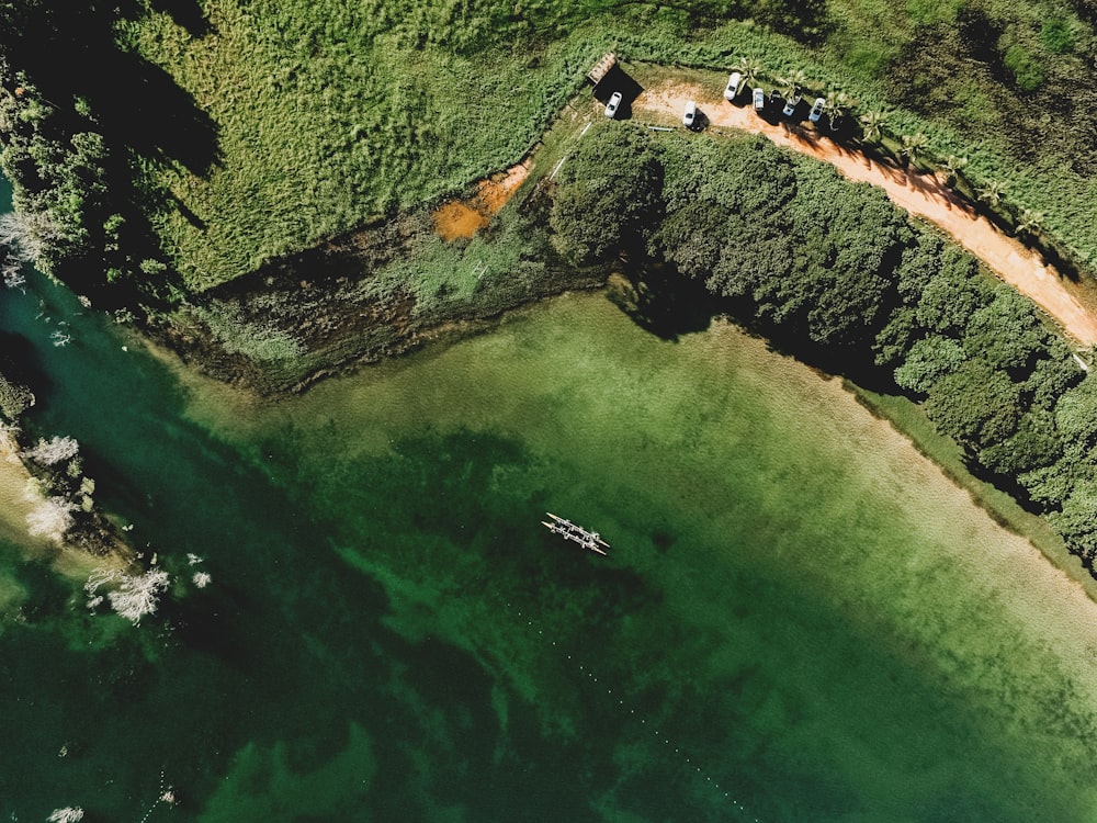 aerial view of green grass field