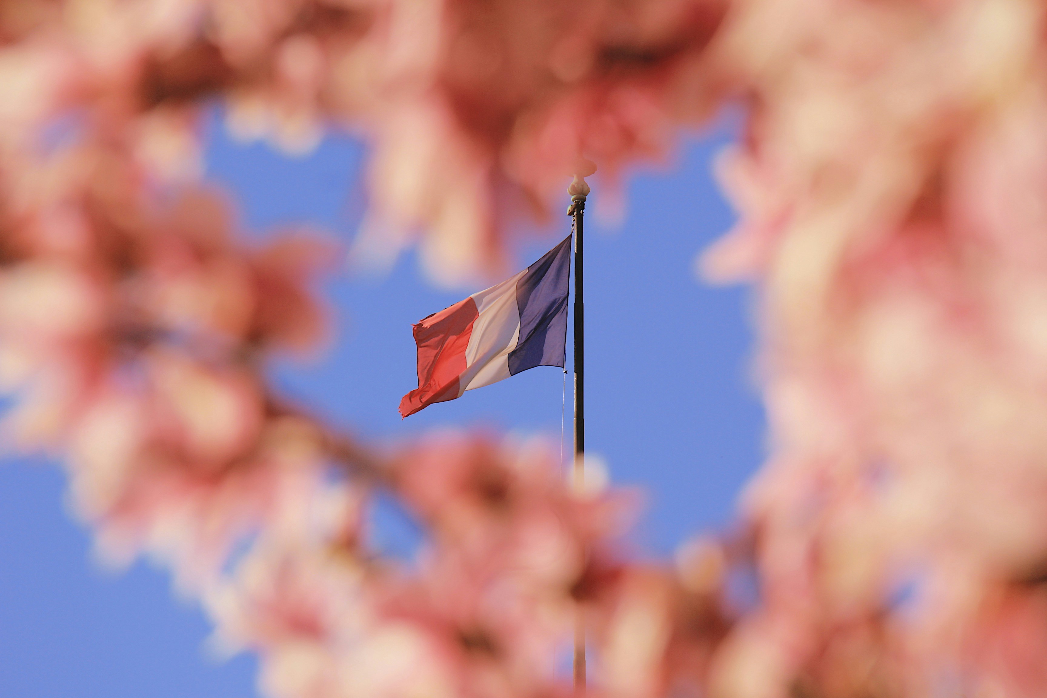 red white and blue flag on pole