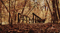 Hikers crossing a wooden bridge over a mountain stream surrounded by autumn foliage.