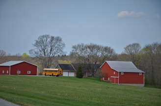 A rural scene with bright red barns nestled in a field of lush green grass. A yellow school bus is parked nearby, and bare trees border the area, hinting at early spring. The sky is a pale blue with a few scattered clouds, creating a calm, pastoral setting.