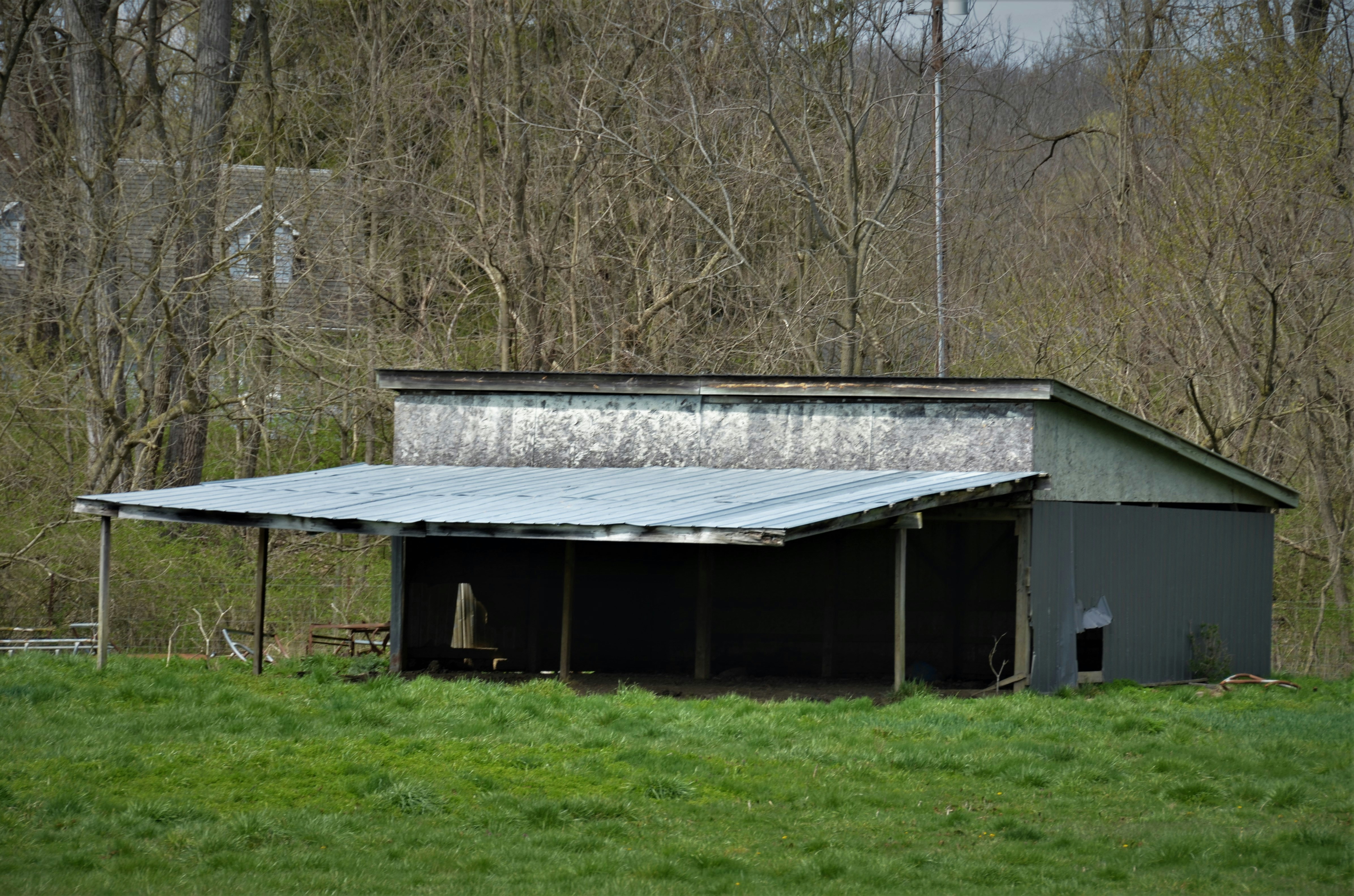 photo 1617731209913 dc9b4ac72d02?crop=entropy&cs=tinysrgb&fit=max&fm=jpg&ixid=M3w1MjQ0NjR8MHwxfHNlYXJjaHwxMnx8VGFycCUyMHNoZWx0ZXJ8ZW58MHwwfHx8MTc1MTQ2MDQzM3ww&ixlib=rb 4.1