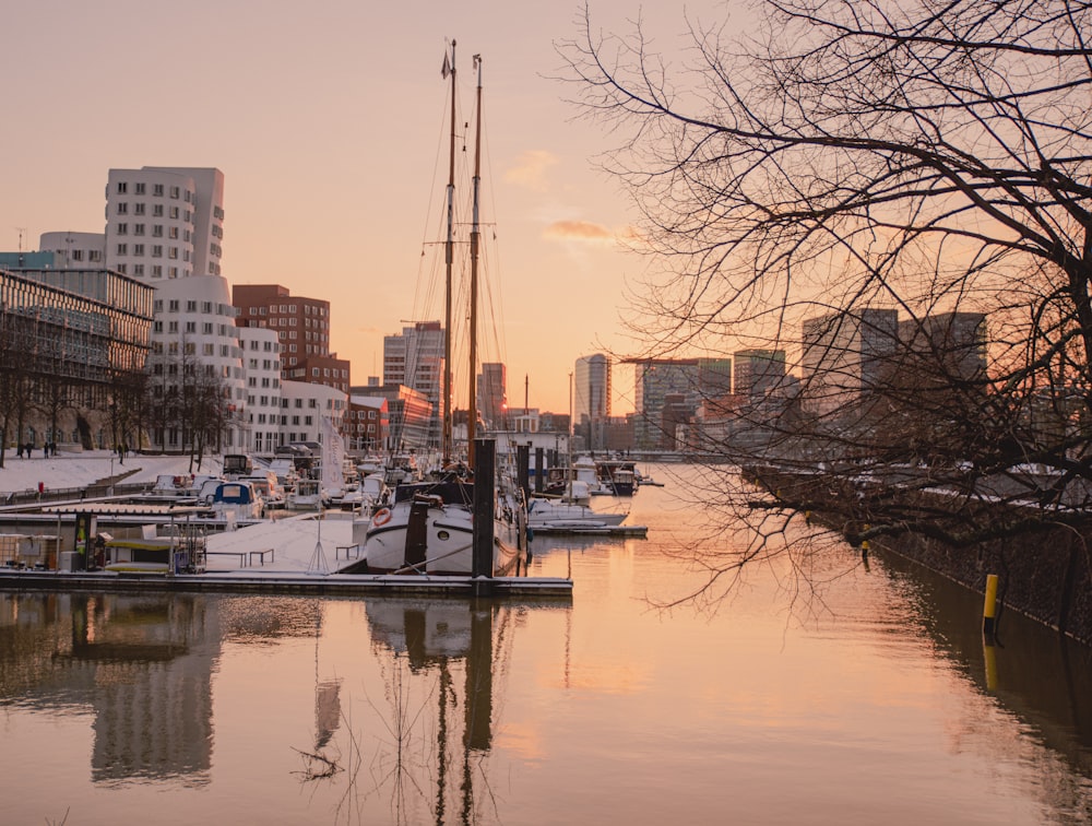 a harbor filled with lots of boats next to tall buildings