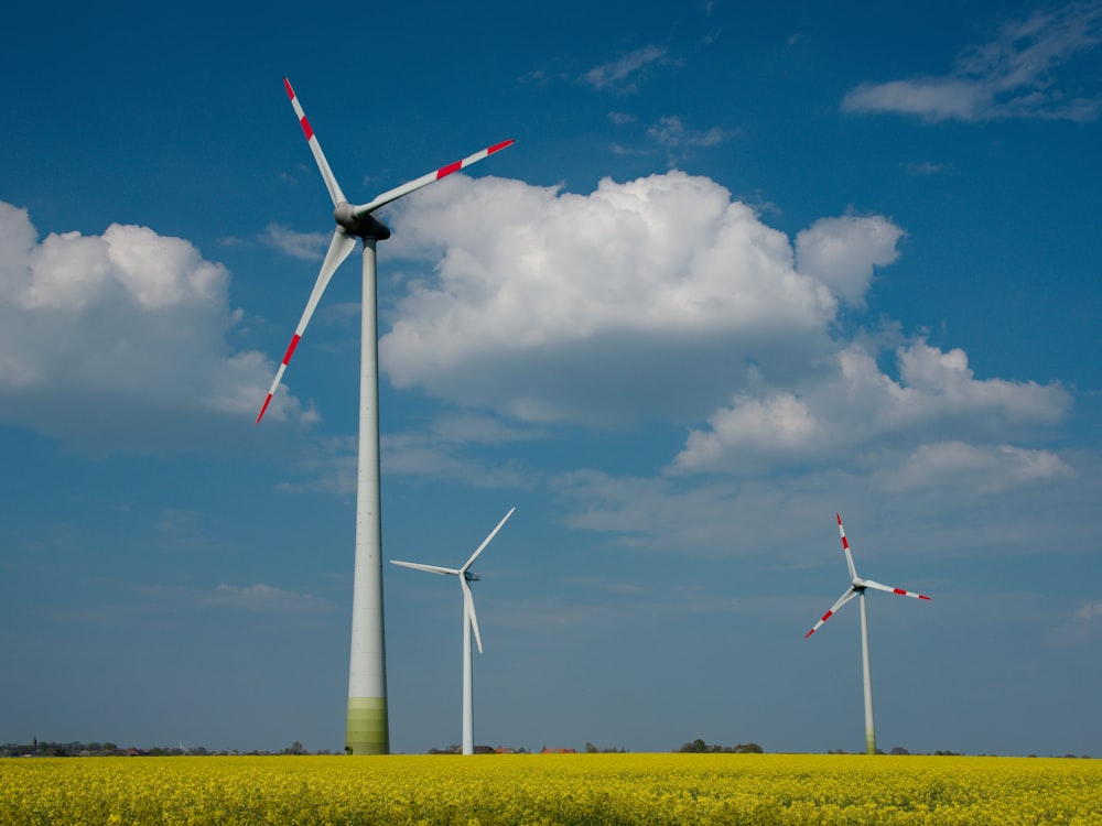 three windmills in a field of yellow flowers