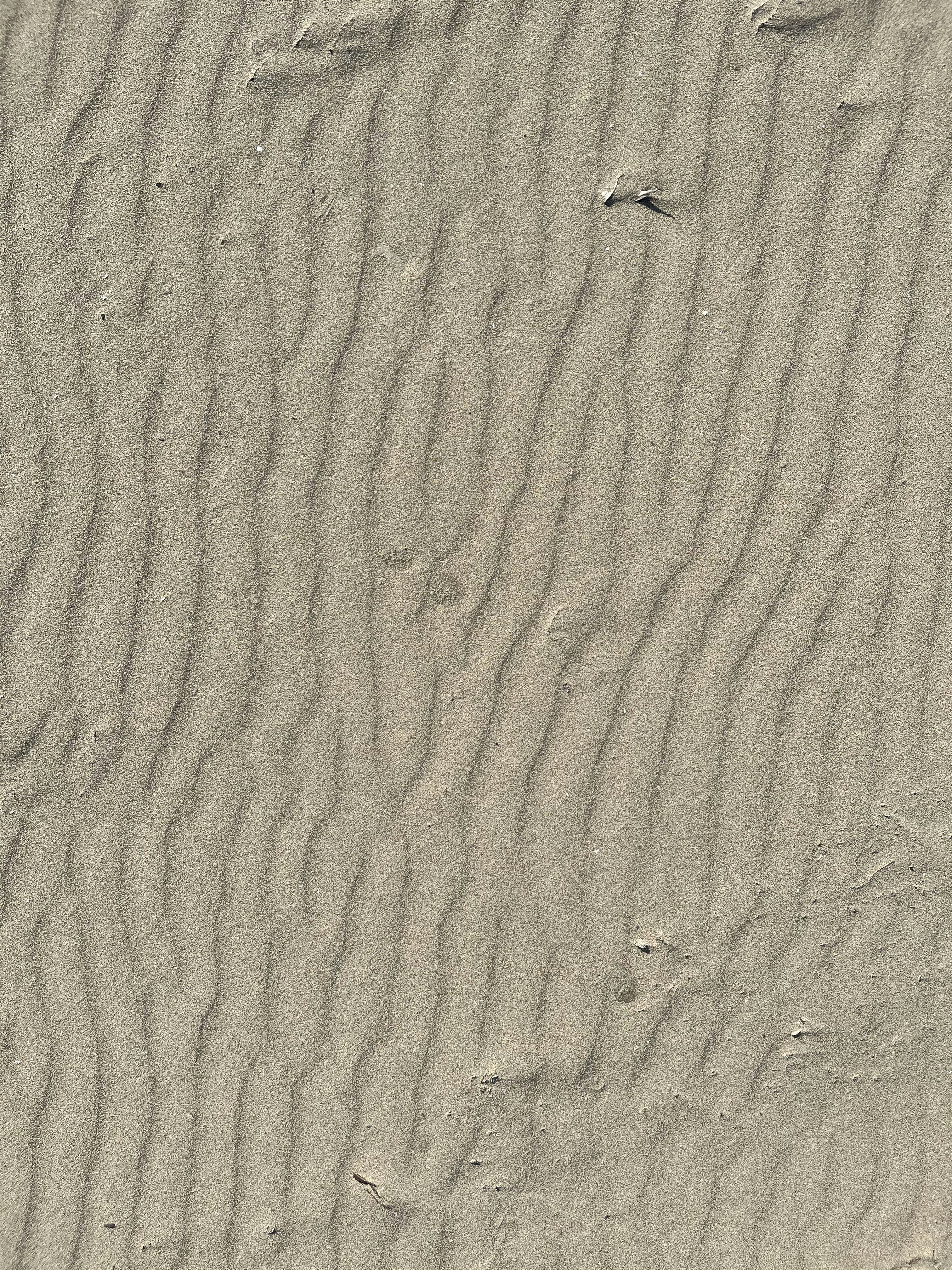 Photo by artcoastdesign