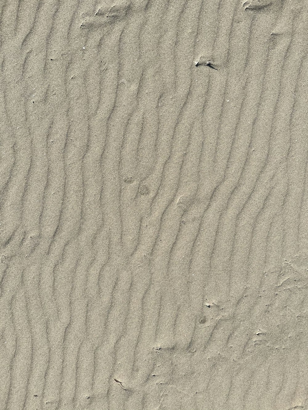 brown sand with footprints during daytime