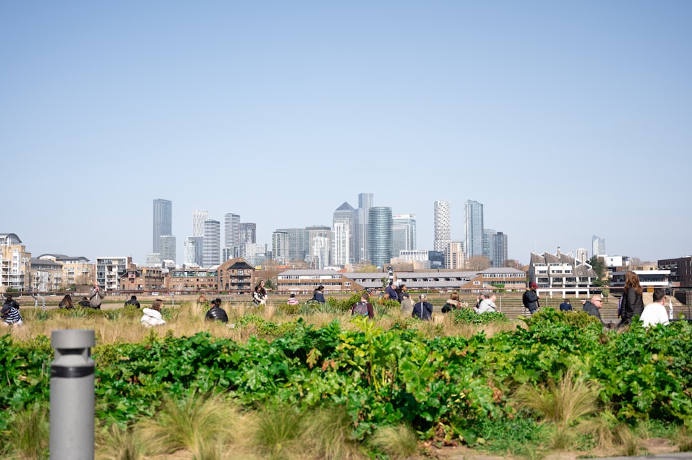 city skyline under blue sky during daytime