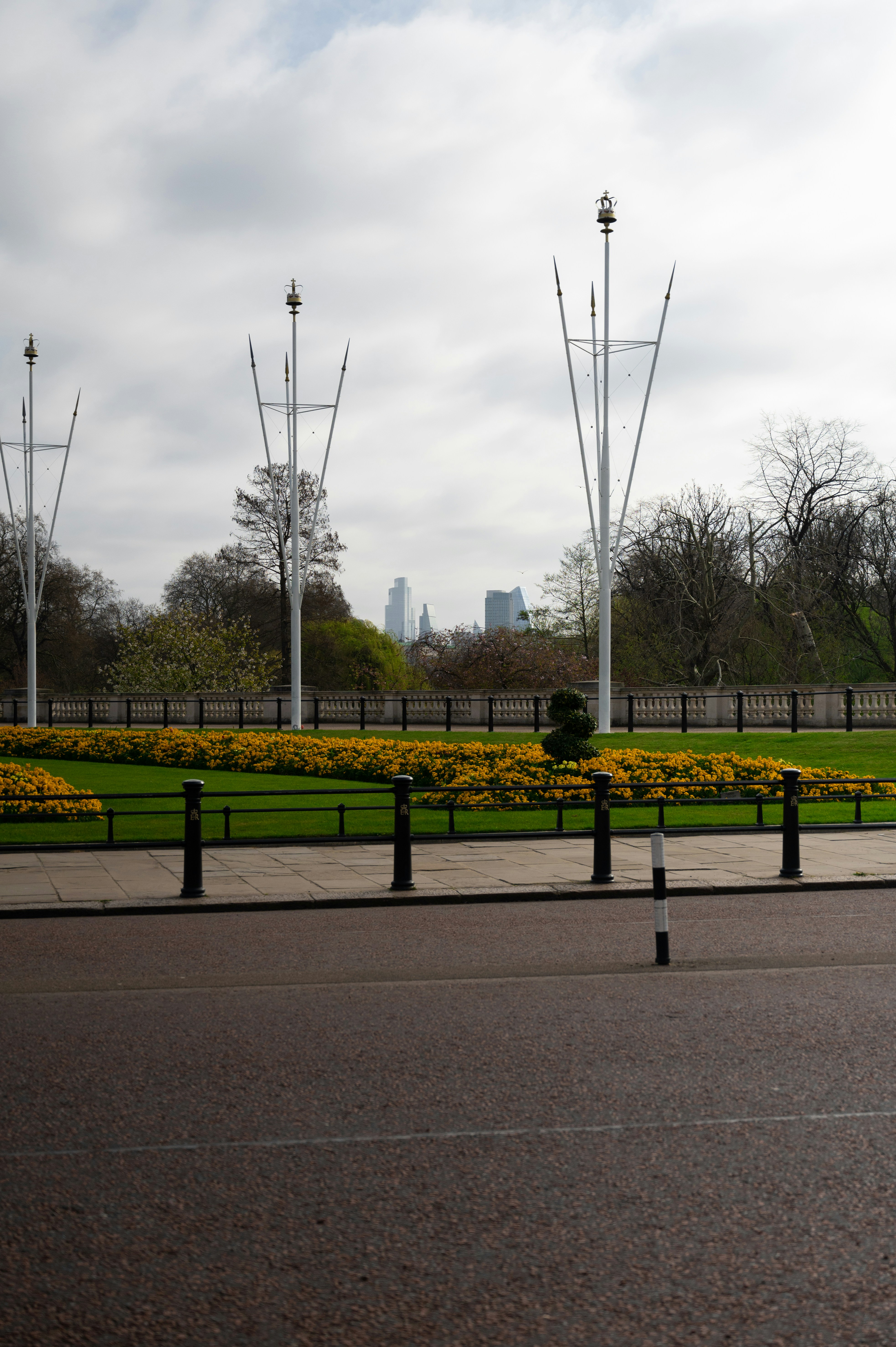Lush Indoor Plants Collection