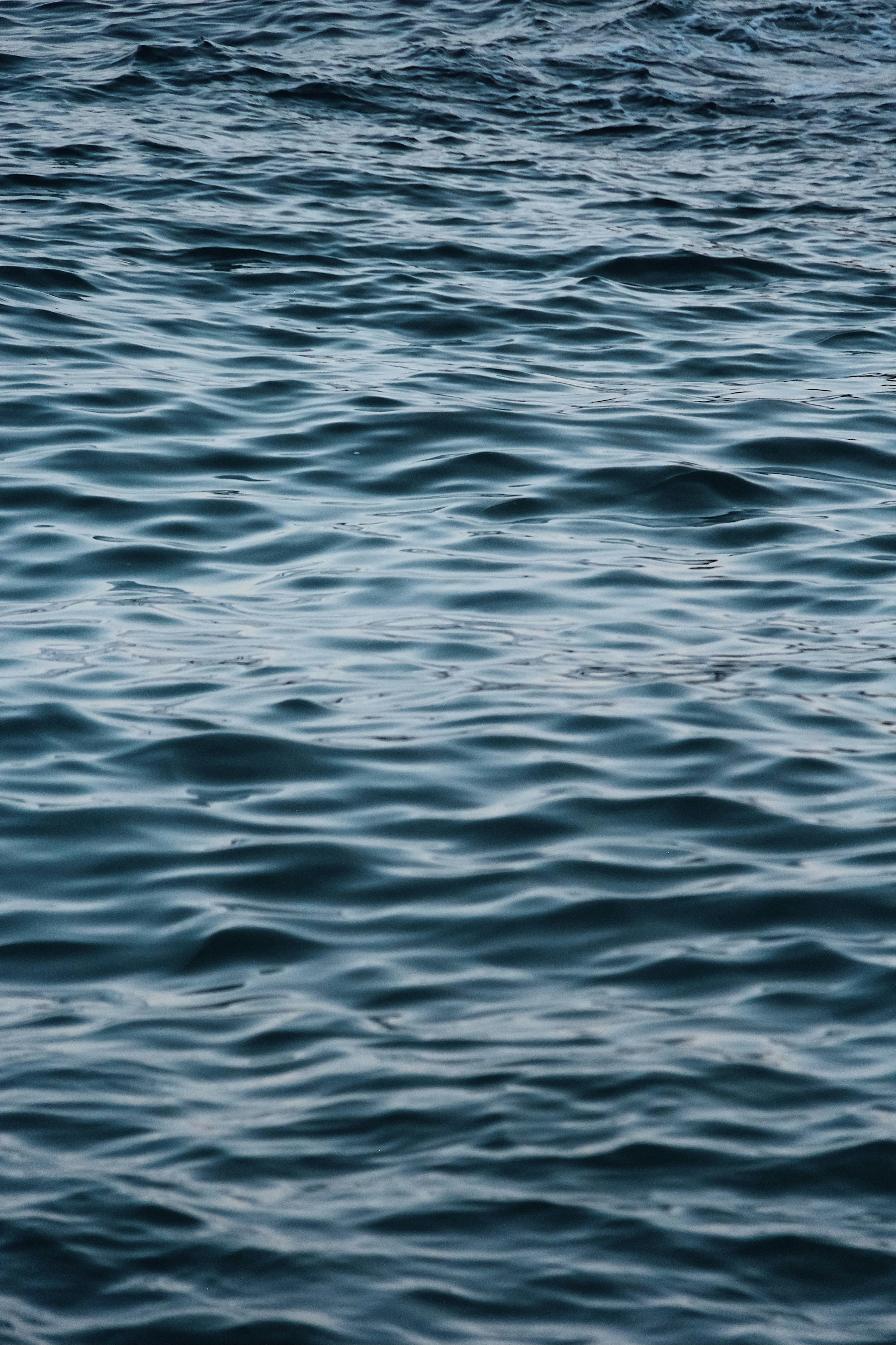 Photo by sofiamejiach